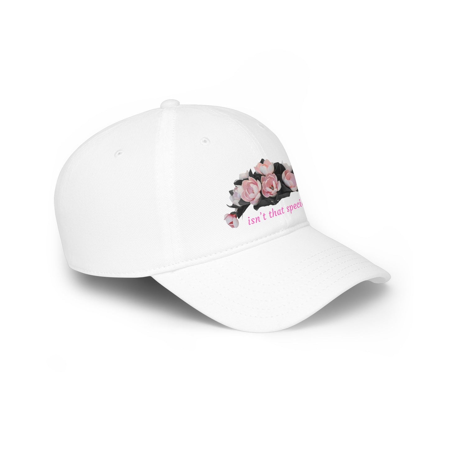 Low Profile Baseball Cap — "Isn't That Special" Southern Saying Embroidered