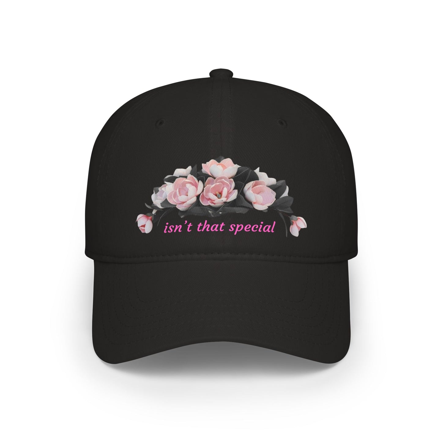 Low Profile Baseball Cap — "Isn't That Special" Southern Saying Embroidered