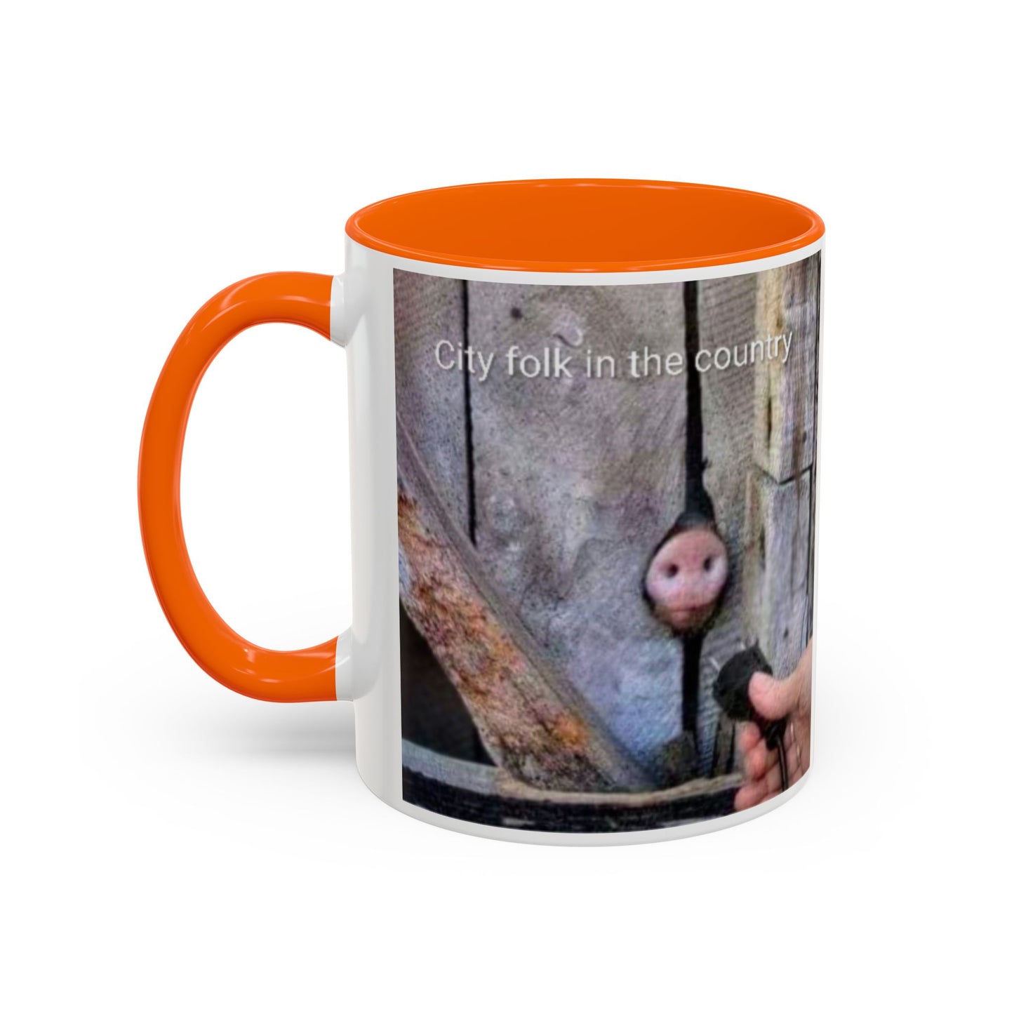 Accent Coffee Mug — “City folk in the country” Rustic Wooden Door Art Mug