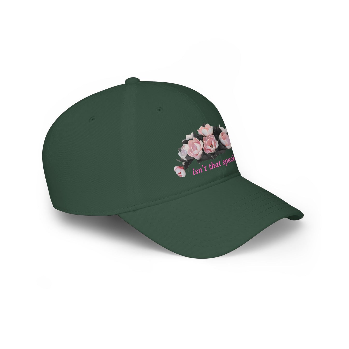 Low Profile Baseball Cap — "Isn't That Special" Southern Saying Embroidered
