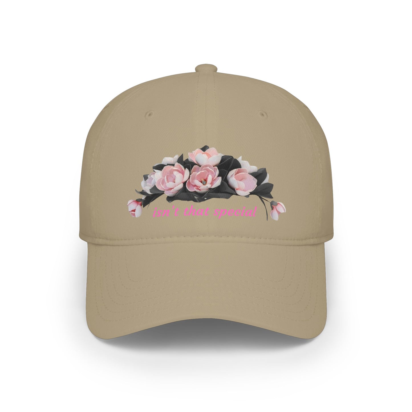 Low Profile Baseball Cap — "Isn't That Special" Southern Saying Embroidered