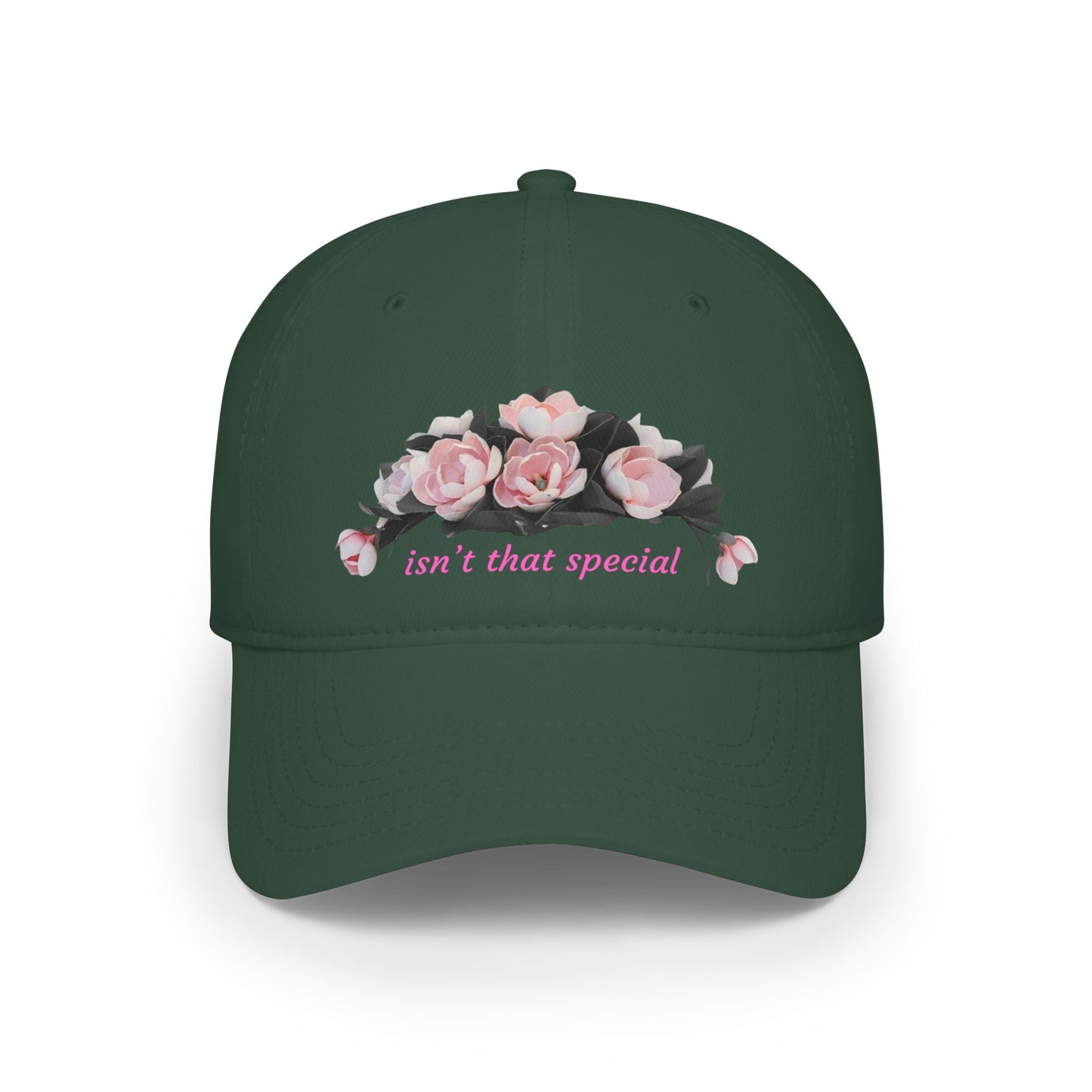 Low Profile Baseball Cap — "Isn't That Special" Southern Saying Embroidered