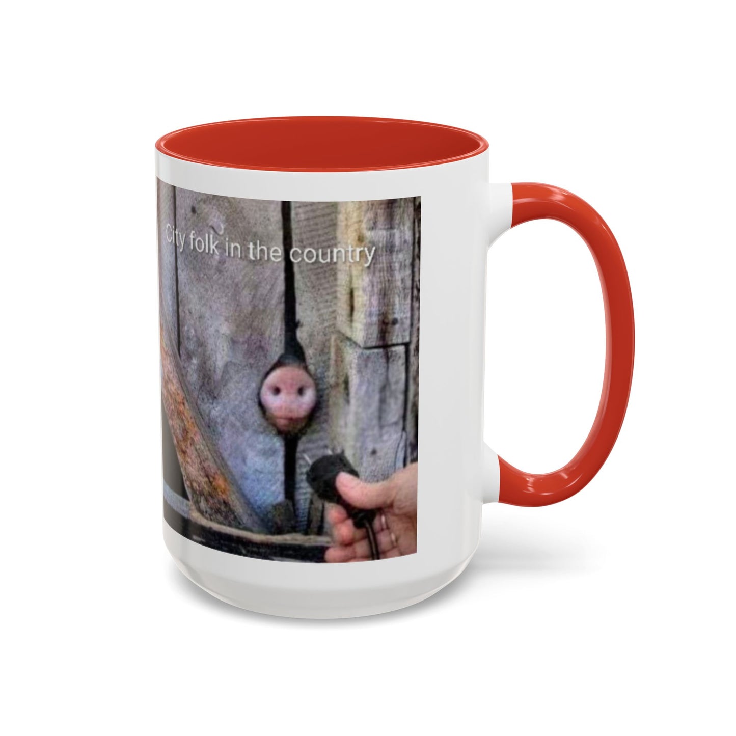 Accent Coffee Mug — “City folk in the country” Rustic Wooden Door Art Mug
