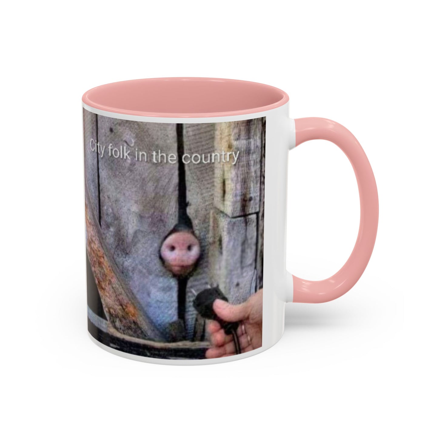 Accent Coffee Mug — “City folk in the country” Rustic Wooden Door Art Mug