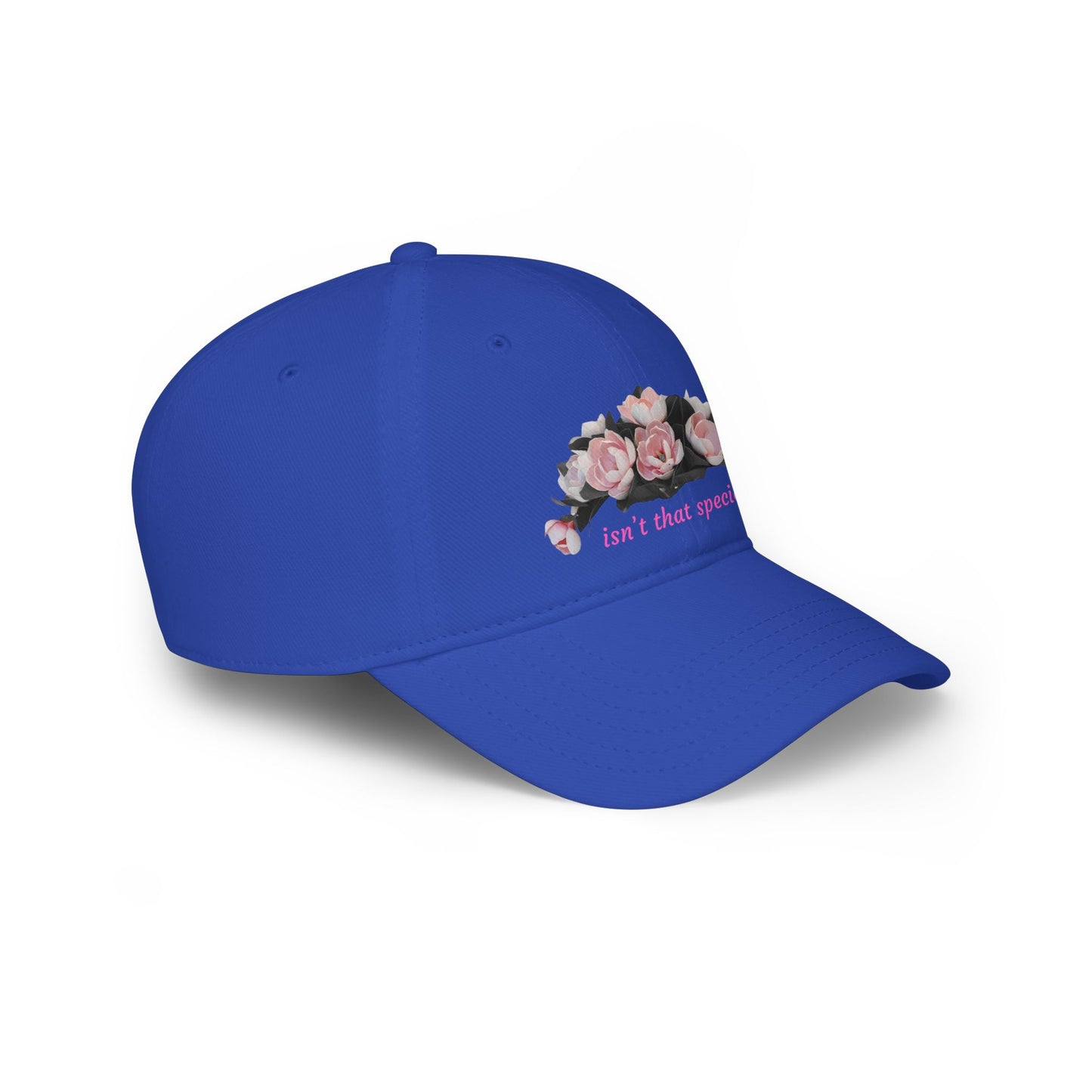 Low Profile Baseball Cap — "Isn't That Special" Southern Saying Embroidered