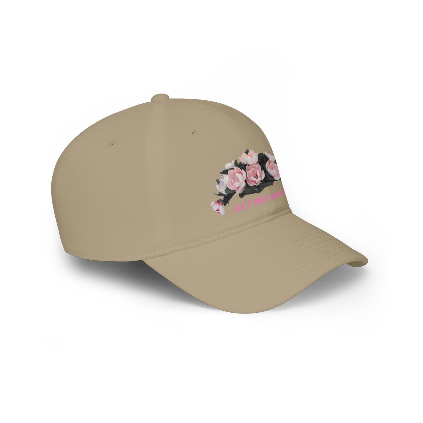 Low Profile Baseball Cap — "Isn't That Special" Southern Saying Embroidered