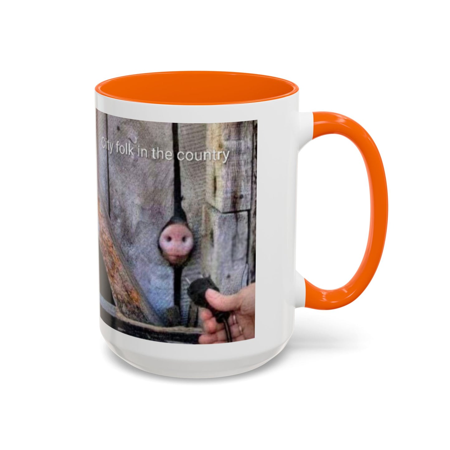Accent Coffee Mug — “City folk in the country” Rustic Wooden Door Art Mug
