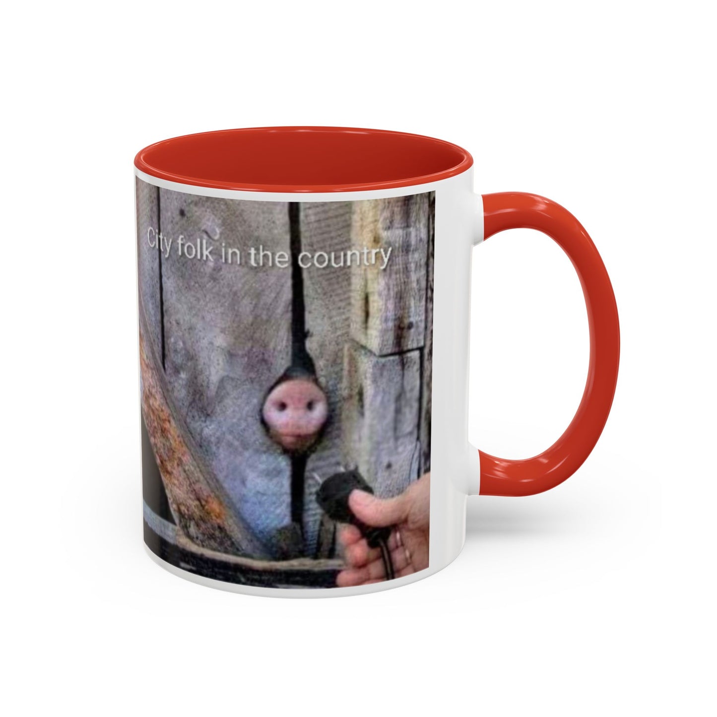 Accent Coffee Mug — “City folk in the country” Rustic Wooden Door Art Mug