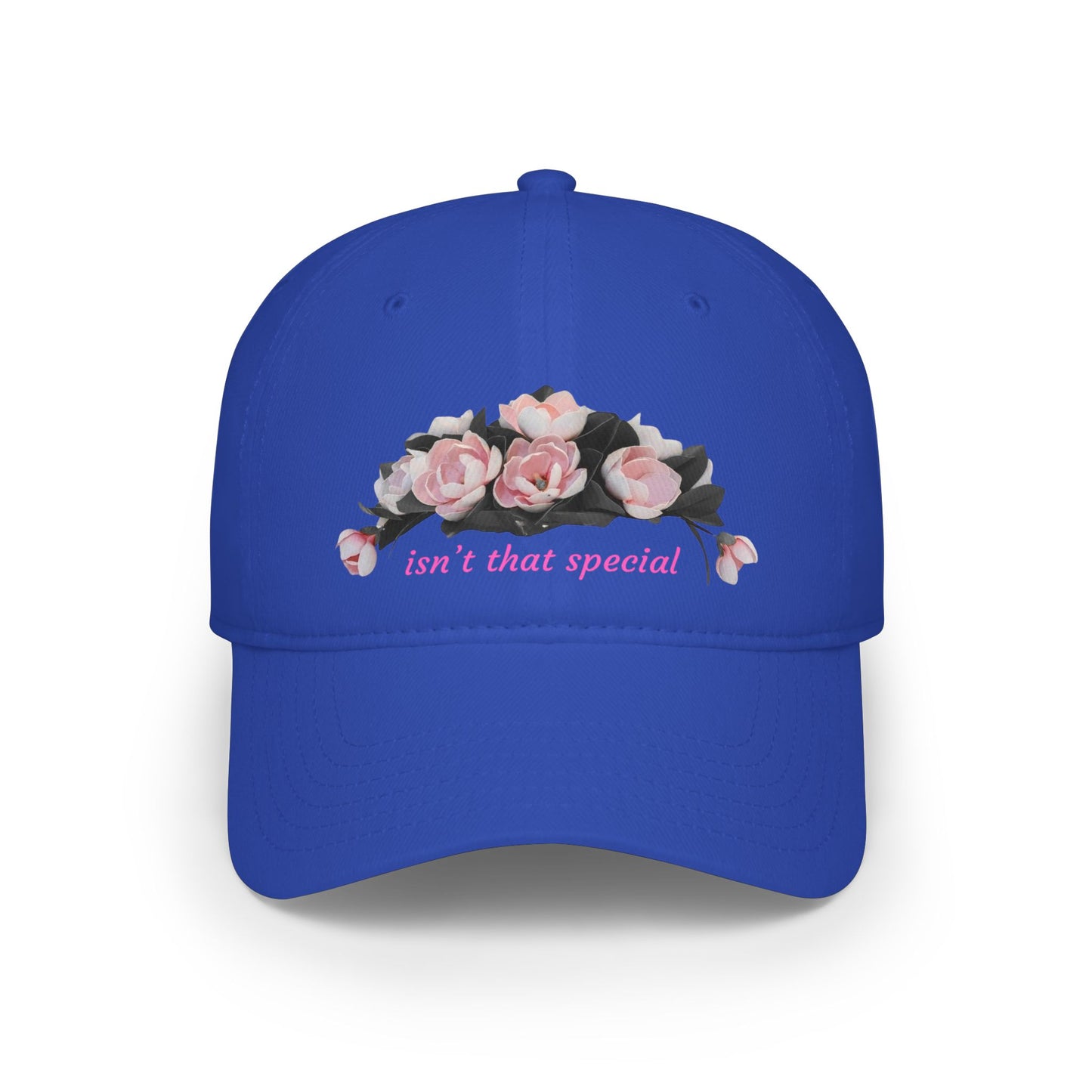 Low Profile Baseball Cap — "Isn't That Special" Southern Saying Embroidered