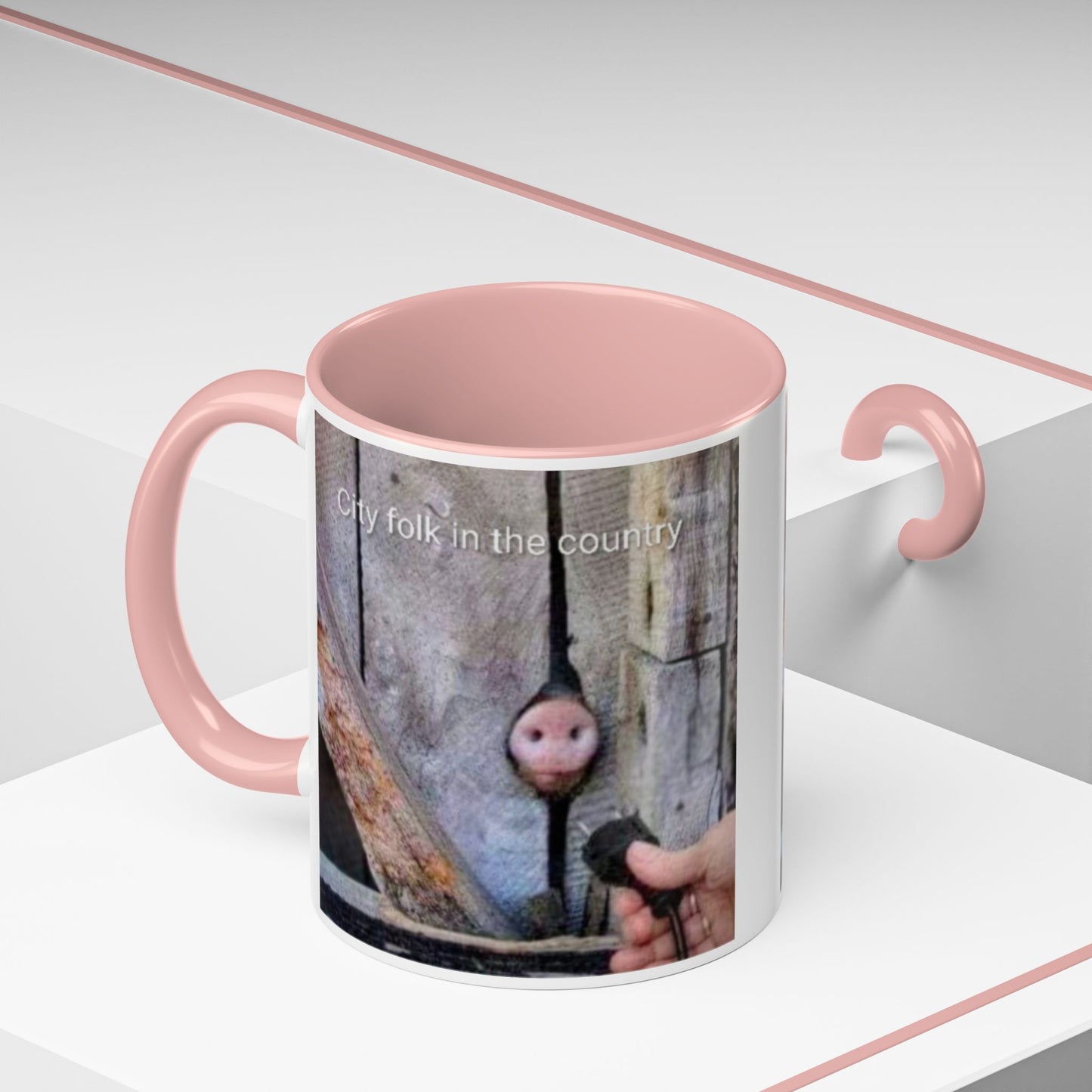 Accent Coffee Mug — “City folk in the country” Rustic Wooden Door Art Mug