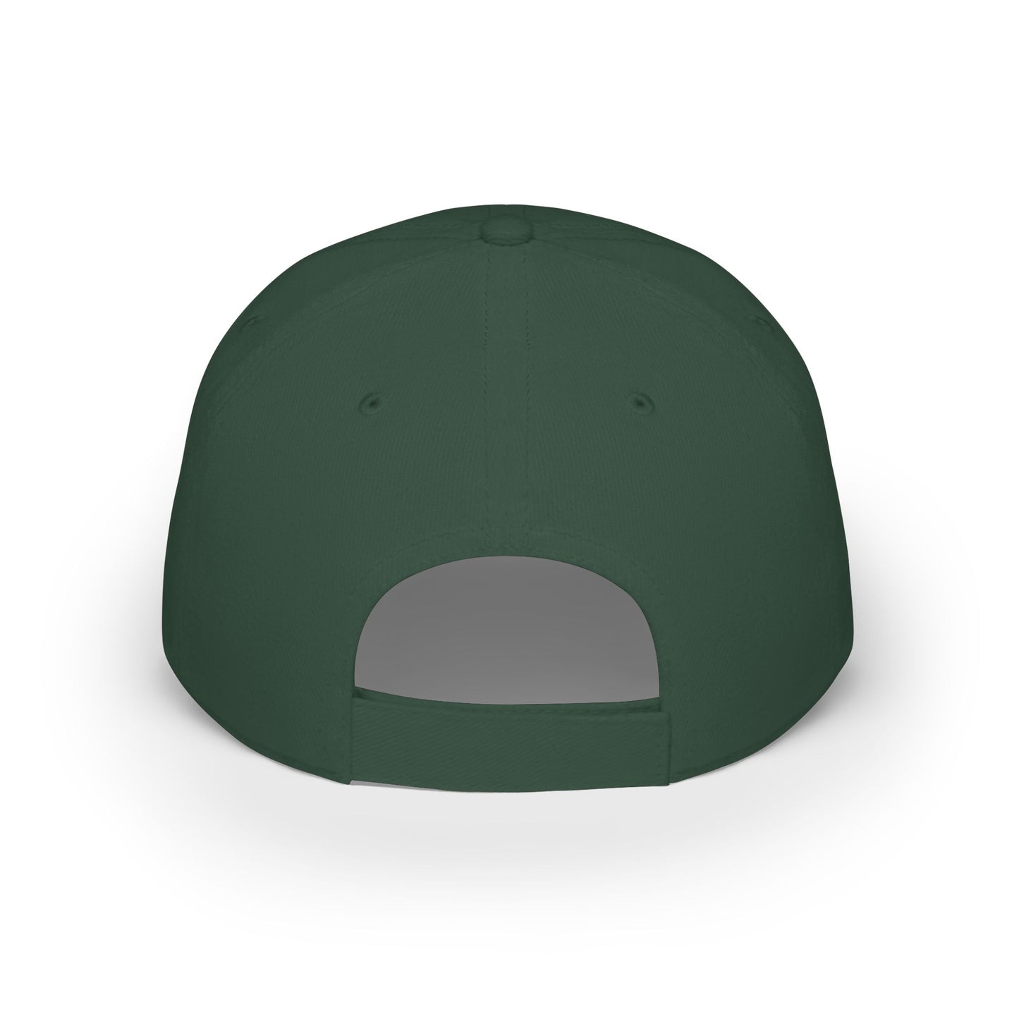 Low Profile Baseball Cap — "Isn't That Special" Southern Saying Embroidered