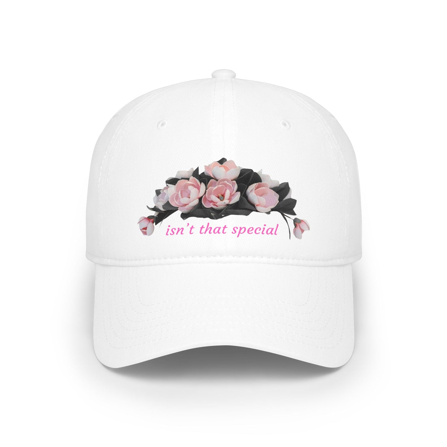 Low Profile Baseball Cap — "Isn't That Special" Southern Saying Embroidered