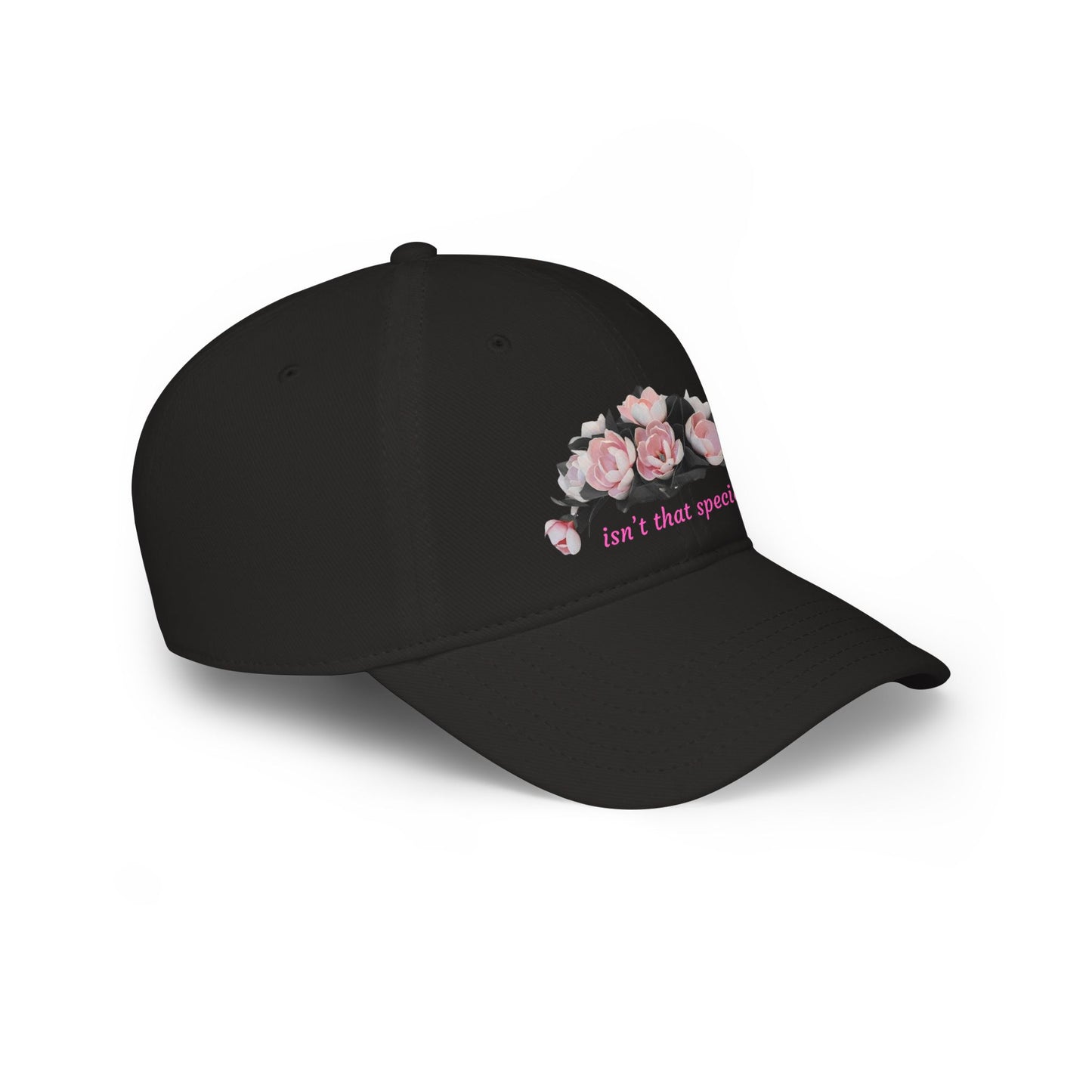 Low Profile Baseball Cap — "Isn't That Special" Southern Saying Embroidered