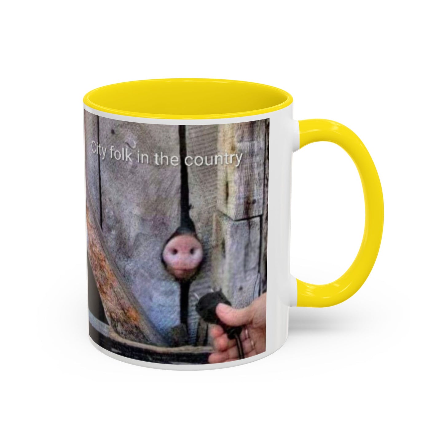 Accent Coffee Mug — “City folk in the country” Rustic Wooden Door Art Mug