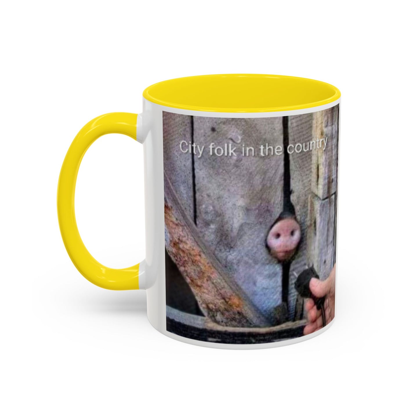 Accent Coffee Mug — “City folk in the country” Rustic Wooden Door Art Mug