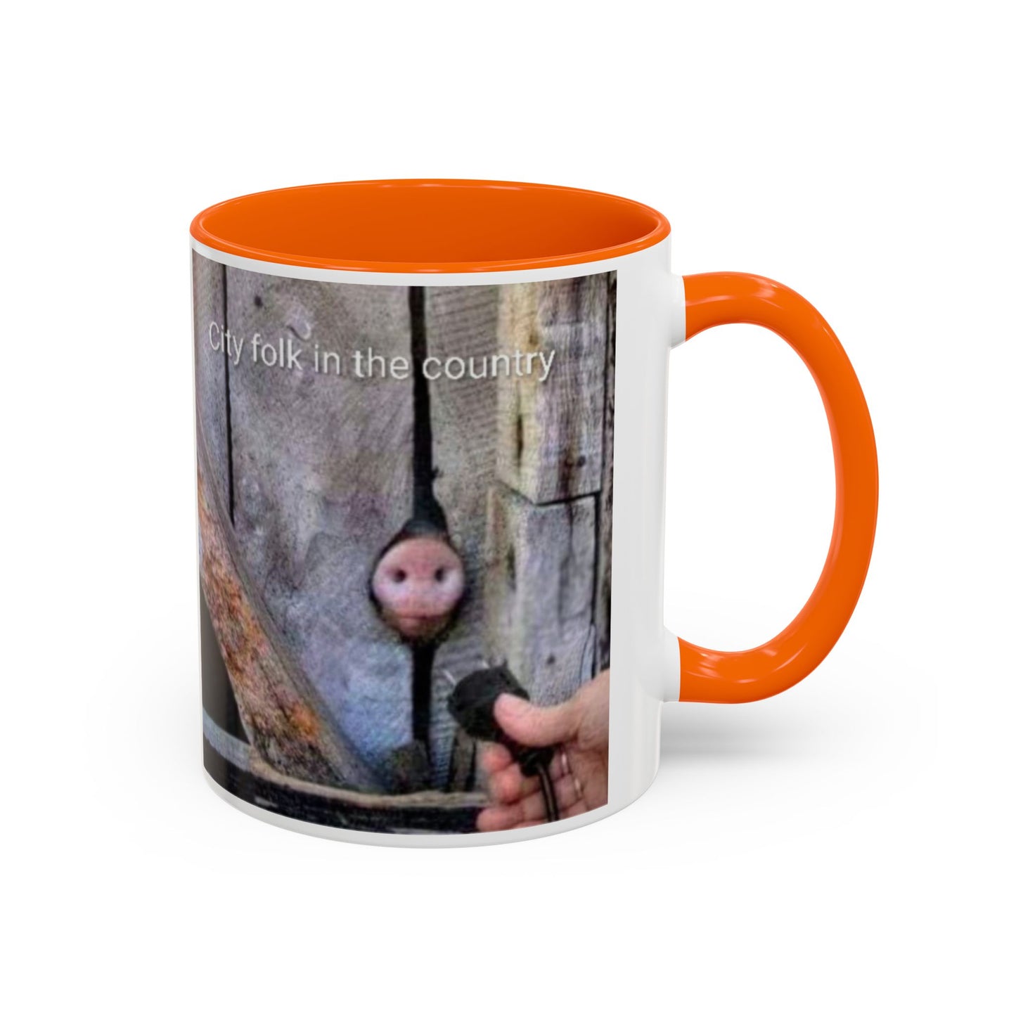 Accent Coffee Mug — “City folk in the country” Rustic Wooden Door Art Mug