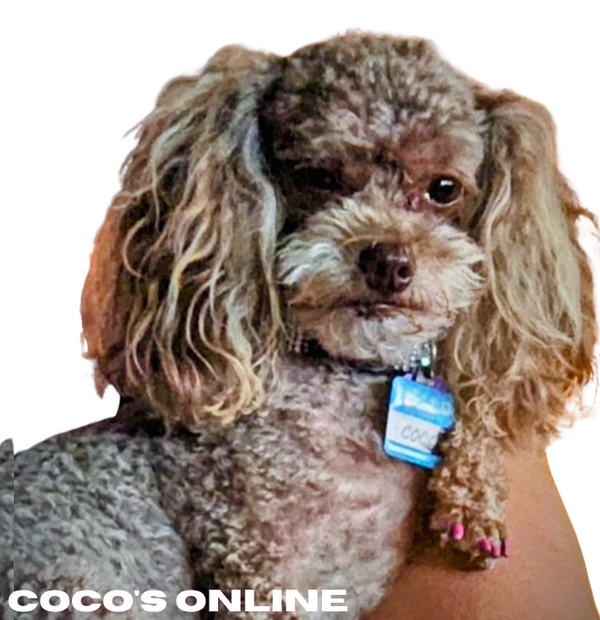 Coco's Online